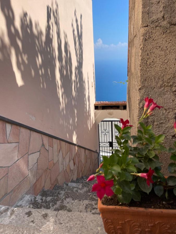 Seaview Apartments フローレ エクステリア 写真